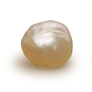Pearl (Venezuelan)