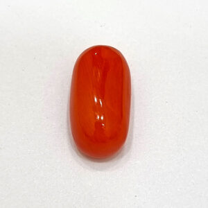 Palash Coral